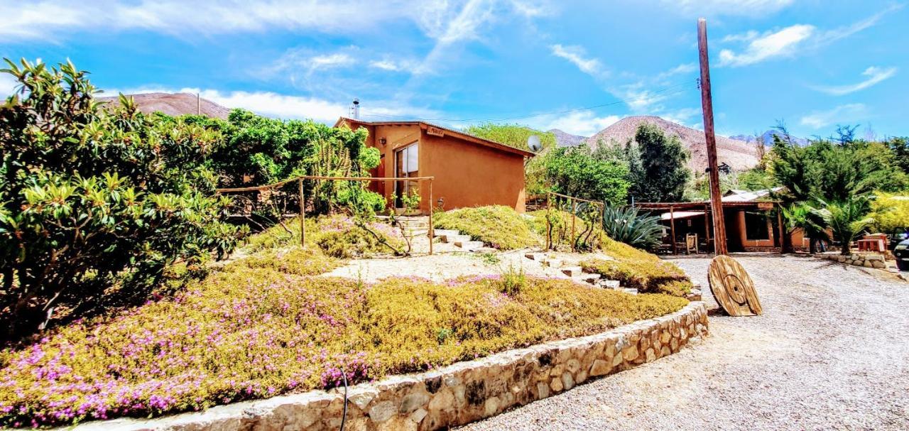 Refugios Pisco Elqui Villa Eksteriør billede