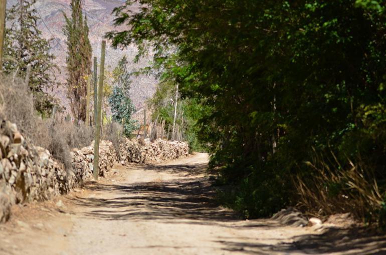 Refugios Pisco Elqui Villa Eksteriør billede